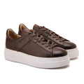 Brown Lace-Up sneakers
